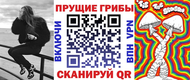 Псилоцибиновые грибы прущие грибы  Купить где  Михайлов 